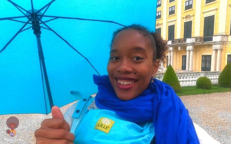 DÍA LLUVIOSO EN VIENA